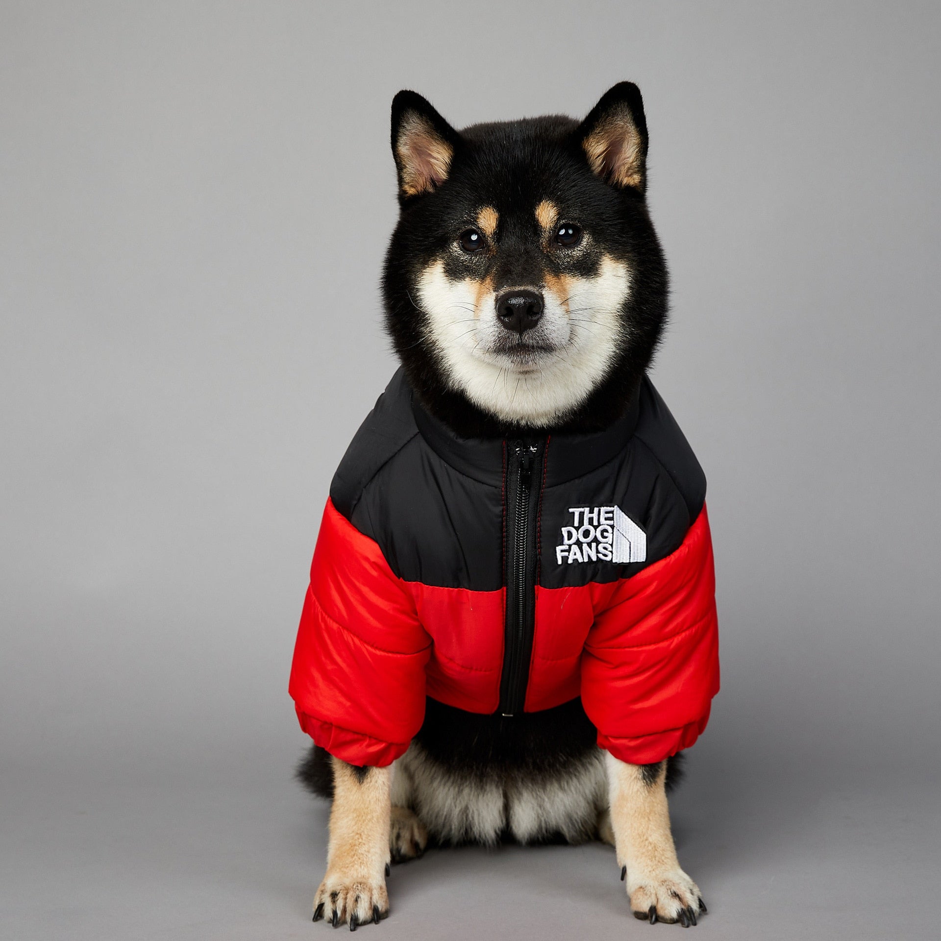 Puffa jacket for on sale dogs