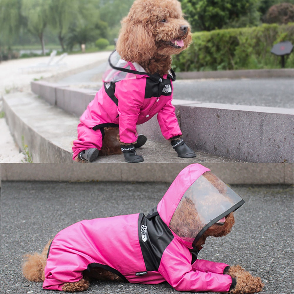 Hooded Raincoat